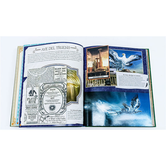 Cine Mágico 2. Criaturas Curiosas