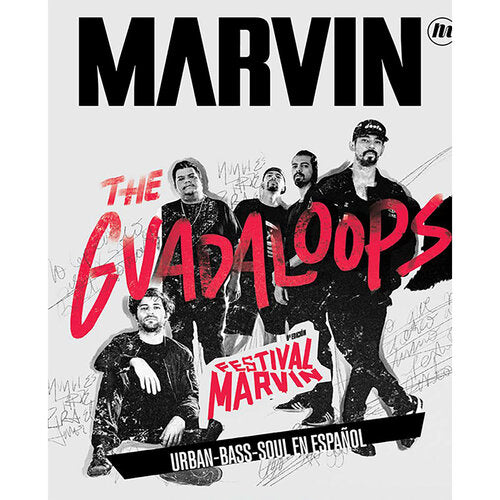 Marvin 171 | Festival Marvin | Wire | Damo Suzuki's Network | Lydia Lunch | The Guadaloops - PDF
