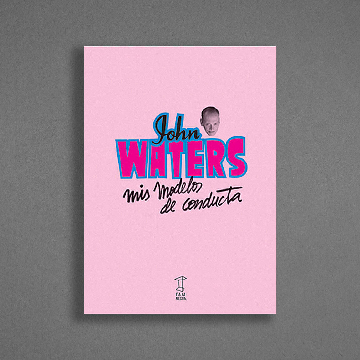 Mis modelos de conducta