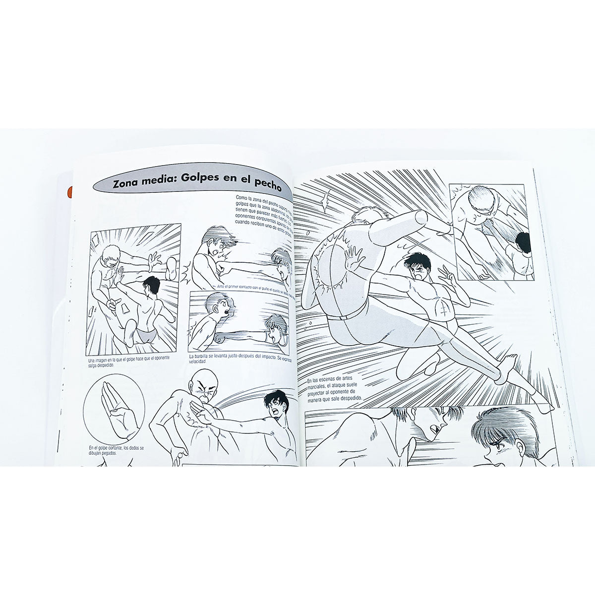 Cómo dibujar Manga 15 ilustrar combates