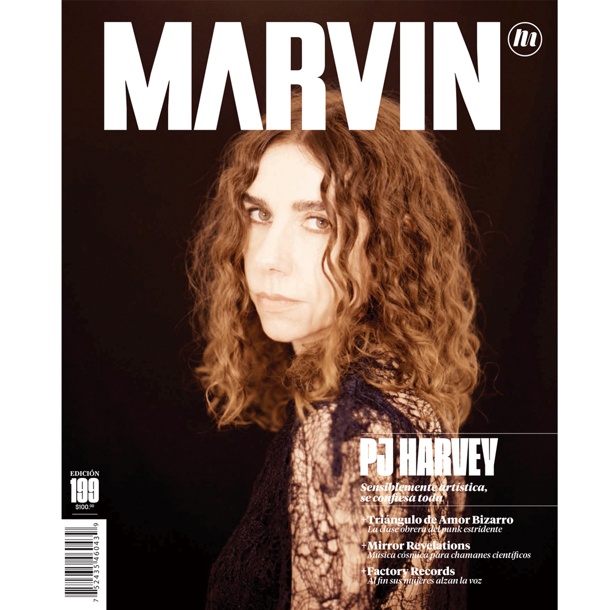 Marvin 199 | PJ Harvey | Enjambre - PDF