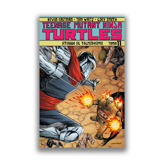 Teenage Mutant Ninja Turtles 11b