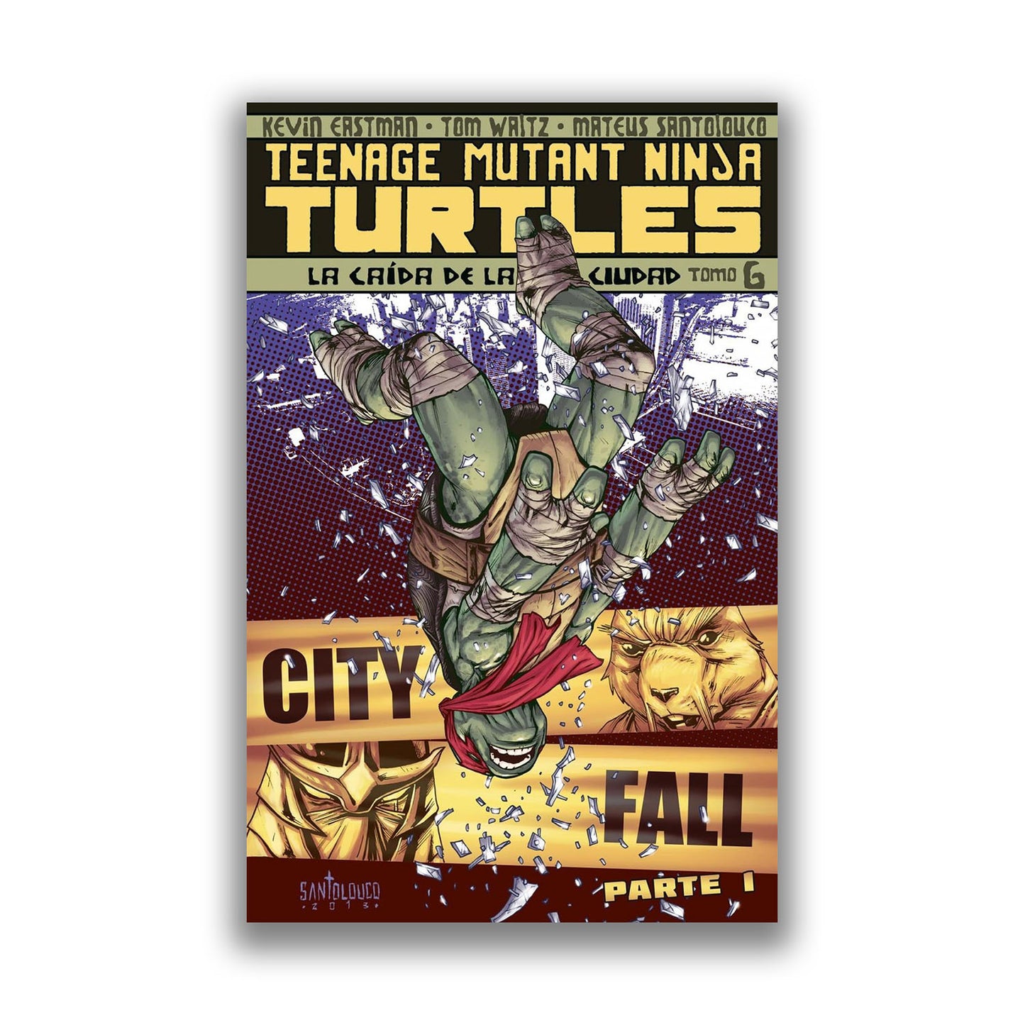 Teenage Mutant Ninja Turtles 06