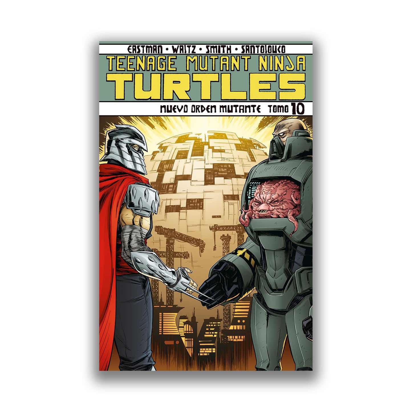 Teenage Mutant Ninja Turtles 10b