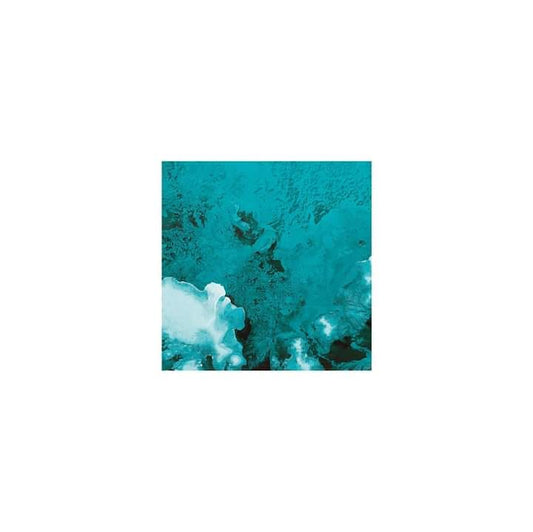 I Can Fly - Oceans Beyond Earth - CD - Tópica Shop